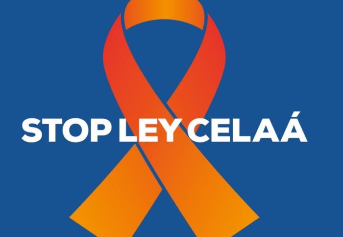 El PP de Getxo se queda solo en el rechazo de la Ley Celaa