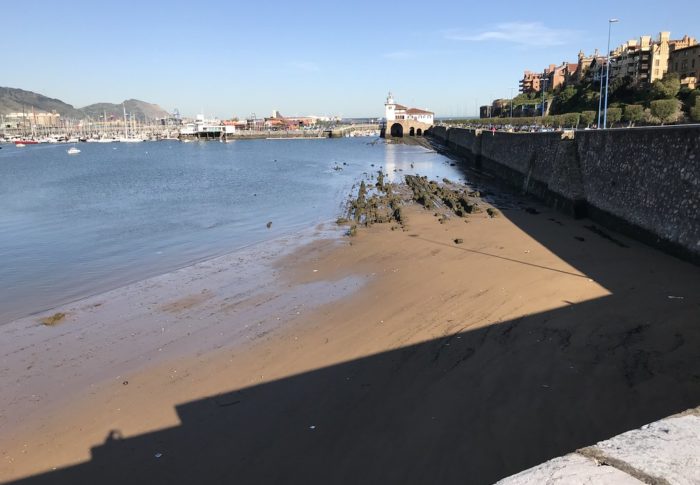 El PP lamenta que el Ayuntamiento de Getxo se niegue a habilitar una playa para perros en el municipio