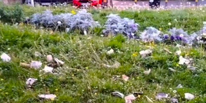 El PP de Getxo pide al Ayuntamiento que busque una solución urgente al problema de jardinería y pide que comparezca la empresa adjudicataria