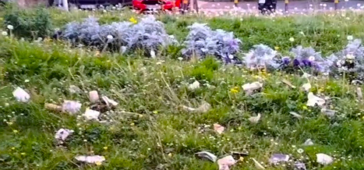 El PP de Getxo pide al Ayuntamiento que busque una solución urgente al problema de jardinería y pide que comparezca la empresa adjudicataria