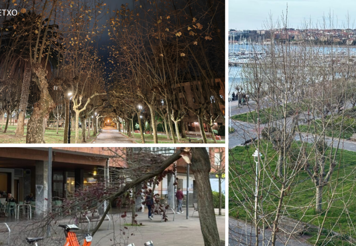 El Partido Popular de Getxo exige una revisión exhaustiva del servicio de jardinería